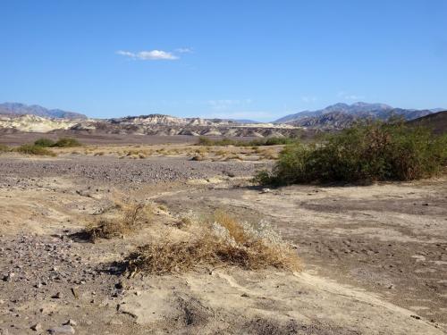 The colors of the desert